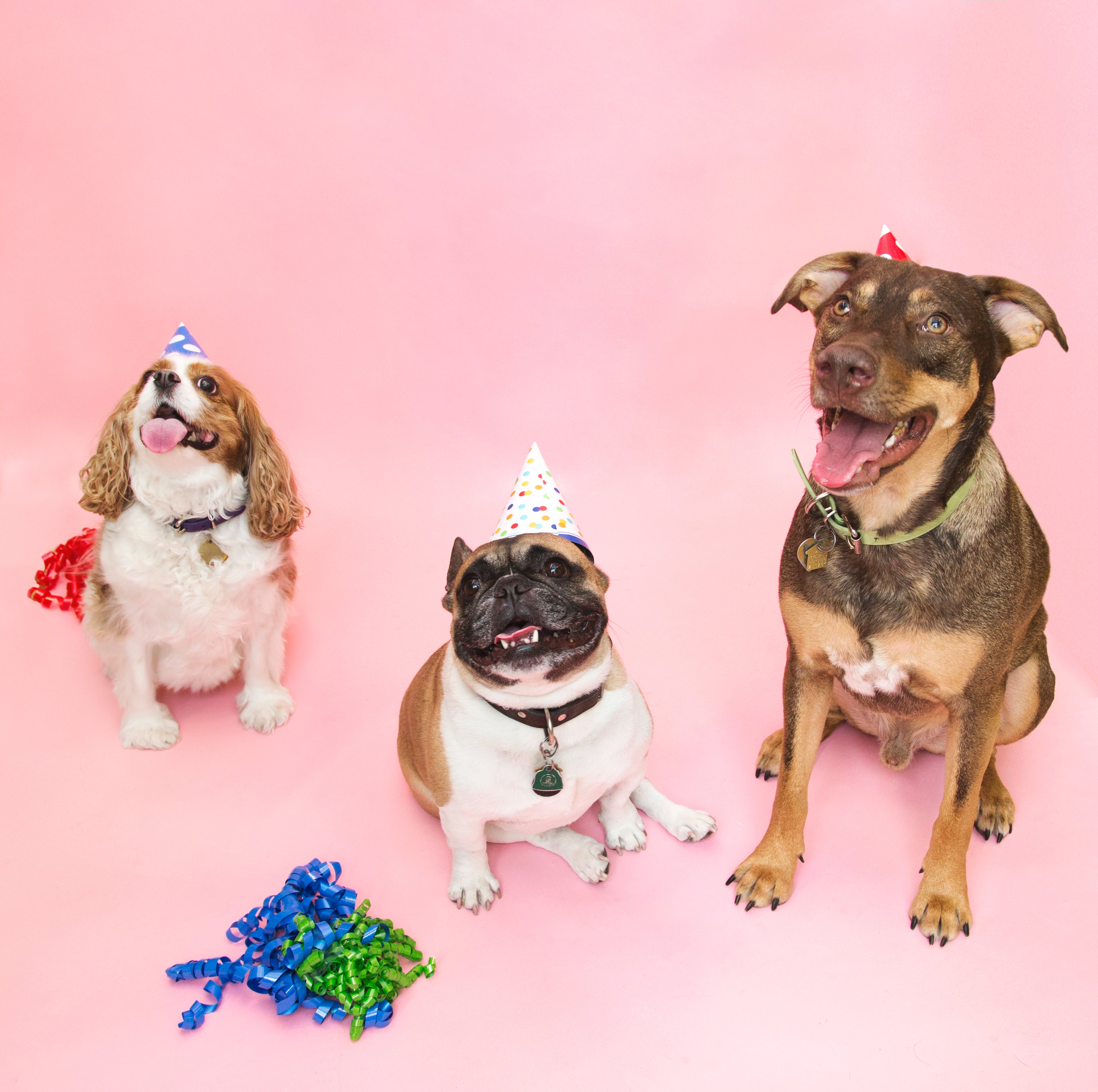 slider image 1621243260e1af0c20-2